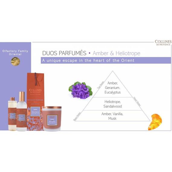 Amber & Heliotrope (Амбра і геліотроп) наповнювач (рефіл) для аромадифузора від Collines de Provence,  200 мл | Зображення 1