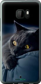Чохол на HTC U Ultra Димчастий кіт "825u-833-2448"