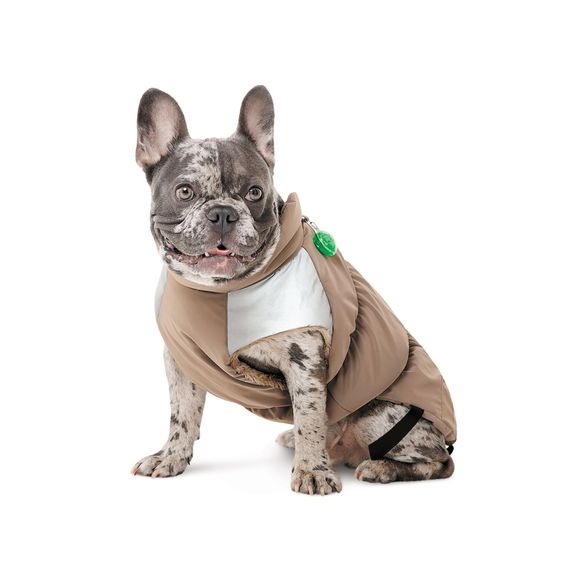 Жилет Chip для собак M3 | Зображення 2