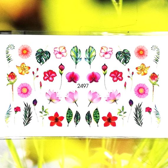 Слайдер 2497 на водяній основі