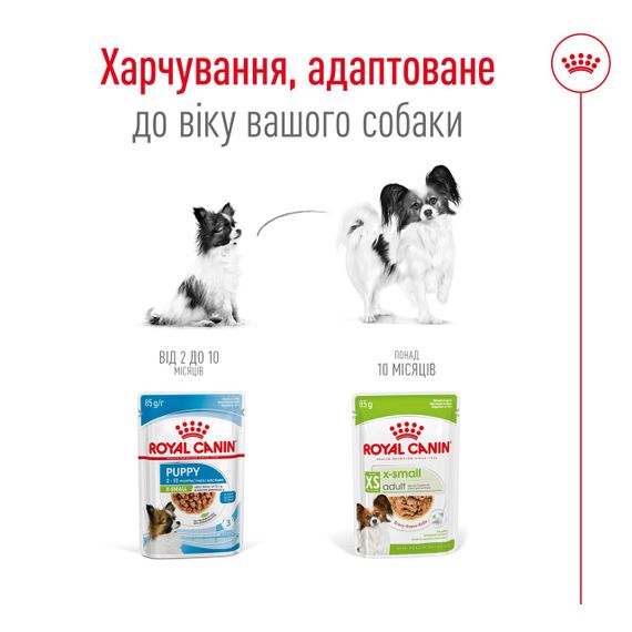Корм Royal Canin X-Small Adult влажный для взрослых собак 85 гр | Зображення 3