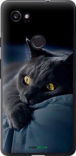 Чохол на Google PixeL 2 XL Димчастий кіт "825t-1643-2448"