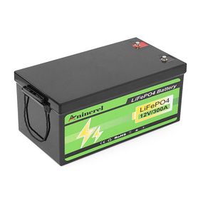 Аккумуляторная батарея ANENJI ANJ-12V-300A H-PX LiFePO4 12.8V 304A h, 3.84kWh