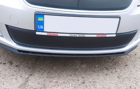 Зимняя накладка на решетку (2011-2014, нижняя) Матовая для Skoda Roomster