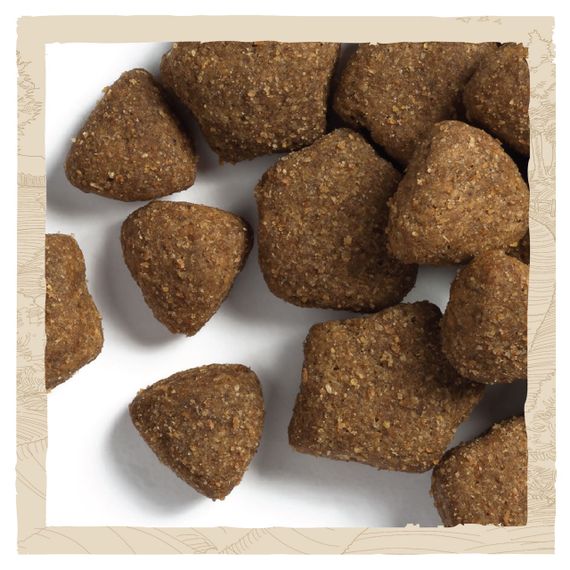 Сухой корм для собак крупных пород с индейкой Dog Chow Large Breed 14 кг | Зображення 5
