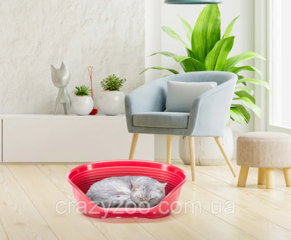 Пластиковий лежак для собак та котів Ferplast Siesta Deluxe 2 бордовий 49х36х17.5 см 70202929 | Зображення 2