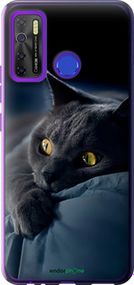 Чохол на Tecno Spark 5 Pro KD7 Димчастий кіт "825u-2445-2448"