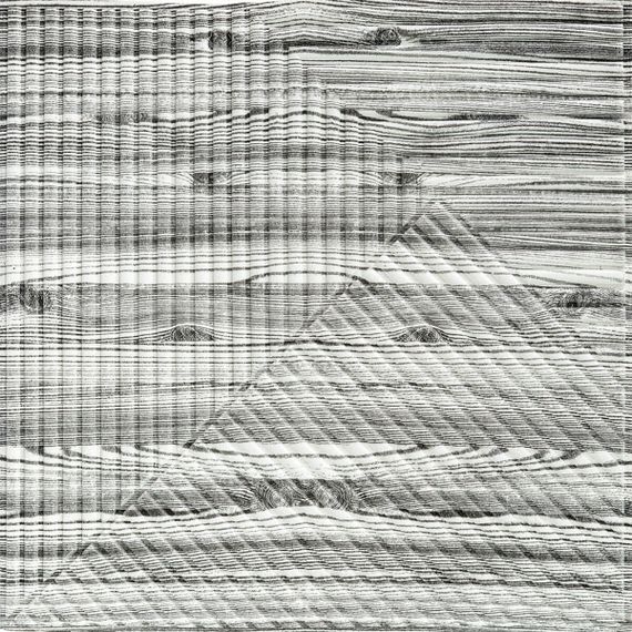 Самоклеюча декоративна 3D панель 500х500х5мм Бамбук Дерево Зебра SW-00002884