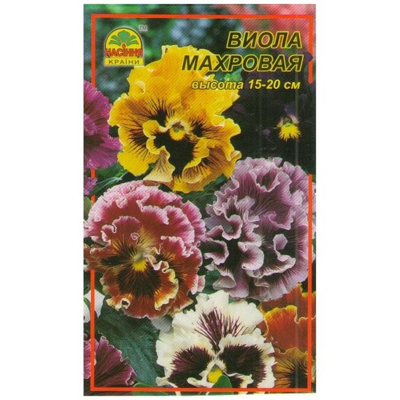 Насіння Віола махрова Рокко 20 шт. (Насіння країни)