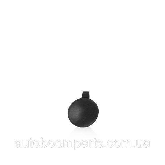 108417300E Заглушка переднього бампера (під гак) Tesla Model 3 17-20