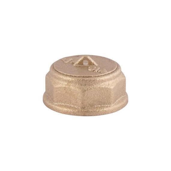 Заглушка Thermo Alliance Standart 3/4" ВР SD40220 | Зображення 3