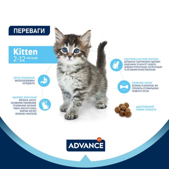 Сухий корм з куркою для кошенят Advance Cat Kitten, 3 кг | Зображення 3
