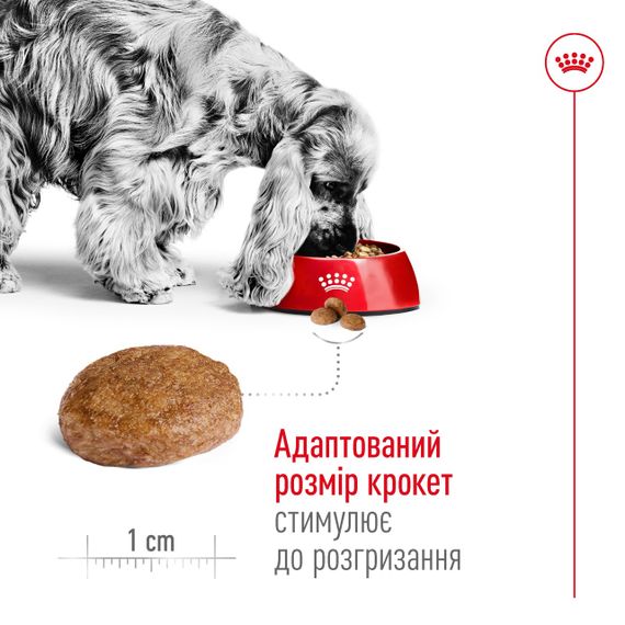 Сухий корм для літніх собак середніх порід Royal Canin Medium Adult 7+, 15 кг | Зображення 3