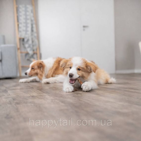 Ласощі для собак Trixie (Тріксі) Косичка жувальна з бичачим пенісом, 15 см (5 шт/уп) | Зображення 4