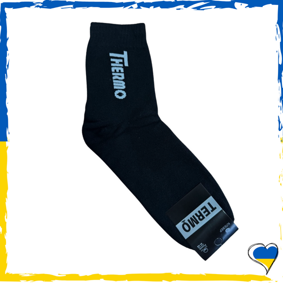 Шкарпетки махрові чоловічі Termo теплі 41-45