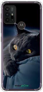 Чохол на Motorola Moto G20 Димчастий кіт "825sp-2461-2448"