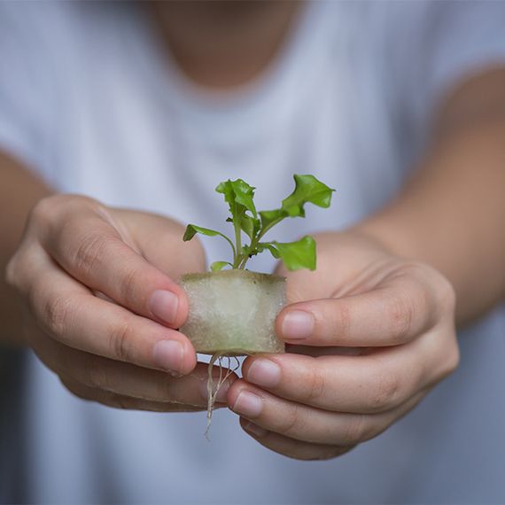 Vegebox™ by BioChef - Table Box - набір садовий для гідропоніки | Зображення 5