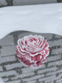 Мыло ручной работы Цветок "Пион"