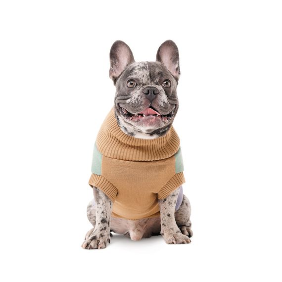 Светр в язаний Rich для собак M3 | Зображення 2