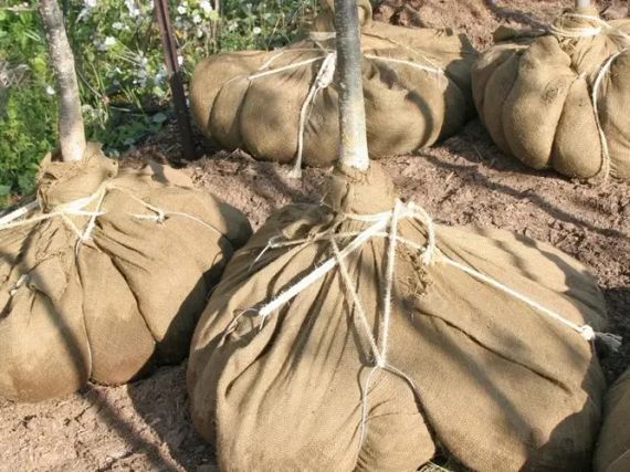 Тканина джутова, квадрати 60*60 (упаковка 100шт.) Індія | Зображення 4