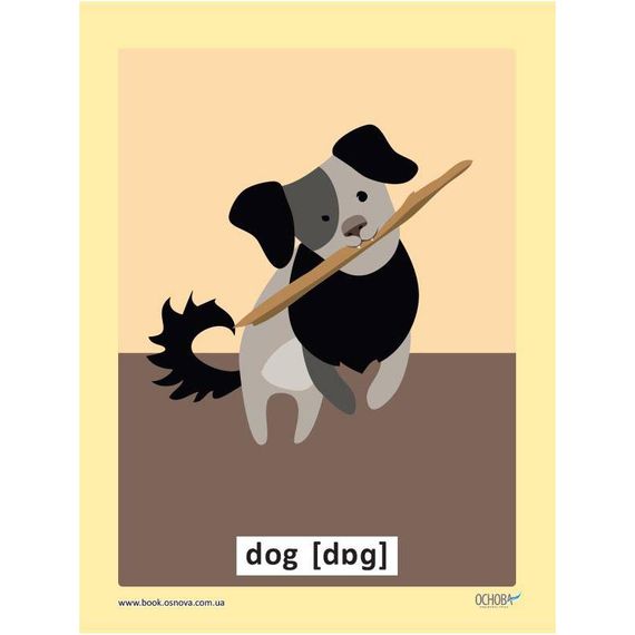 Демонстраційні флеш-картки Англійська мова ЗПП 051 двосторонні | Зображення 1