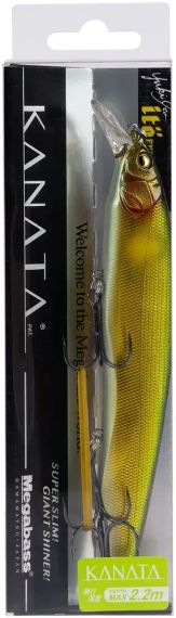 Воблер Megabass Kanata Ayu F 160mm 30.0g Wakin Golden Ayu Ii | Зображення 1