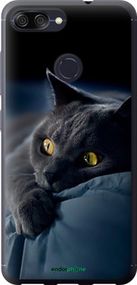 Чохол на Asus ZenFone Max Plus M1 ZB570TL Димчастий кіт "825u-1361-2448"