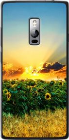 Чехол на OnePlus 2 Украина "1601u-386-17620"