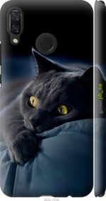 Чохол на Huawei Nova 3 Димчастий кіт "825m-1535-2448"