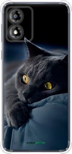 Чохол на Motorola Moto E13 Димчастий кіт "825sp-3053-2448"