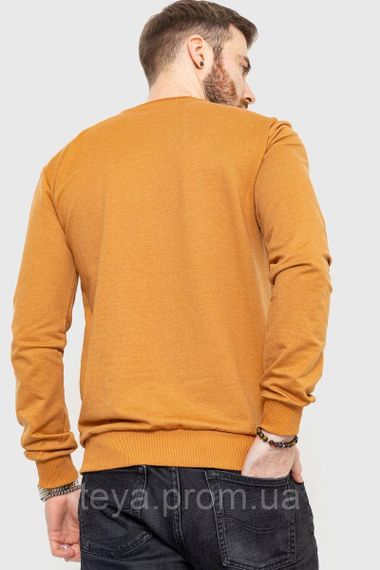Світшот чоловічий демісезонний колір коричневий розмір XL FA_006533 | Зображення 3
