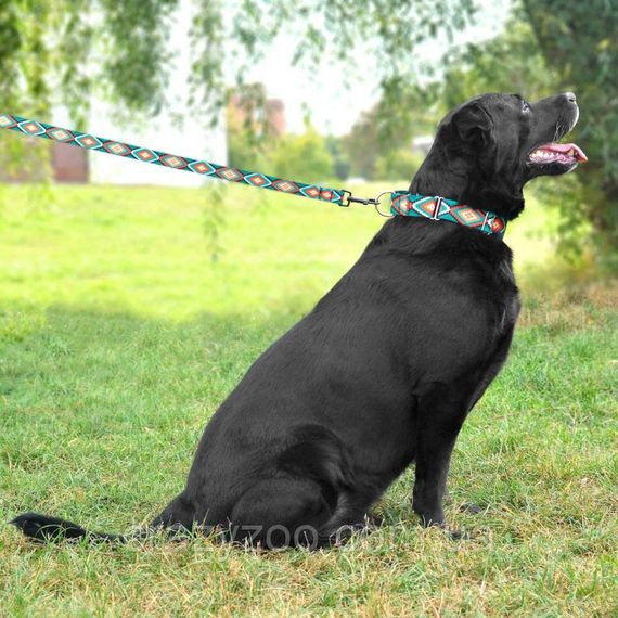 Поводок для собак BronzeDog Urban М орнамент ромбы 2х300 см 3061/1334/T | Зображення 2