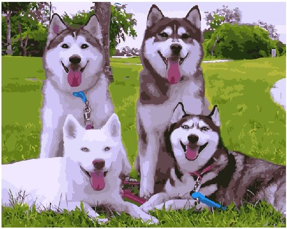 Милые Хаски