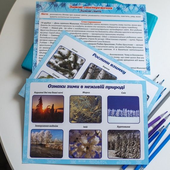 Дидактический материал "Зимние наблюдения" 13107147, 16 карточек | Зображення 5