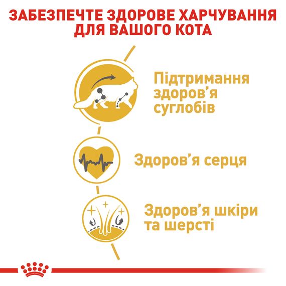 Сухий корм для котів породи мейн-кун від 15 місяців Royal Canin Maine Coon Adult 10 кг | Зображення 2