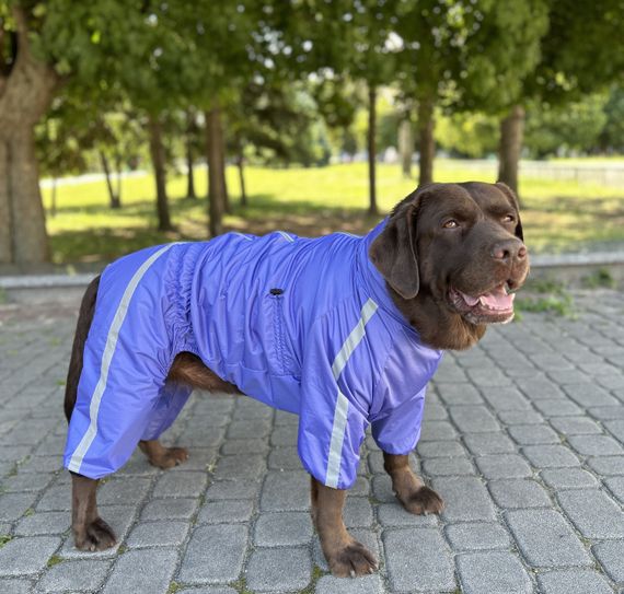 Дощовик Спорт на флiсi фіолет MF-35 | Зображення 1