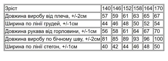 Костюм для дівчинки (підлітковий) Носи своє 170 Синій (p-14765-167724) | Зображення 4