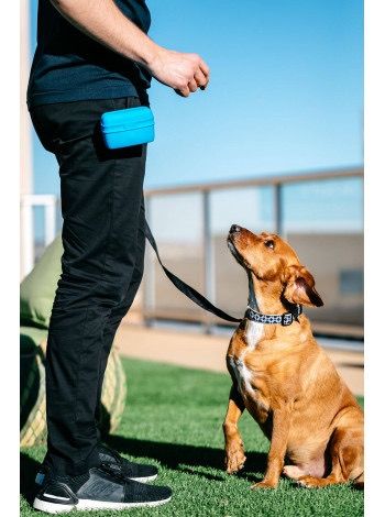 Контейнер для ласощів на пояс Dexas Pooch Pouch, блакитний | Зображення 1