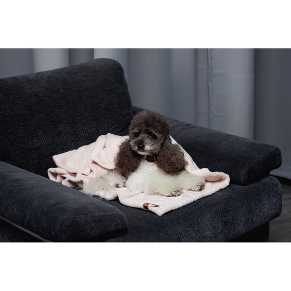 Плед Pet Fashion Bliss 1 для собак і котів плюш пудра 86х67,5 см | Зображення 8