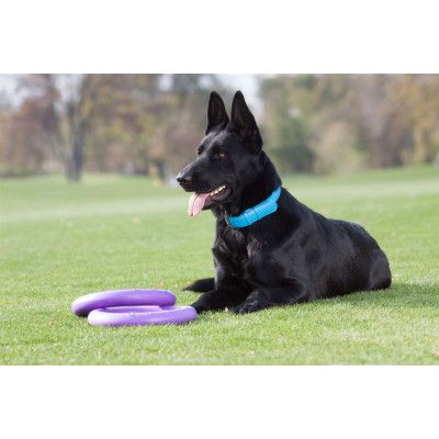 Игрушка для собак Puller Standard Тренировочный снаряд 28 см 2 шт (6490) | Зображення 2