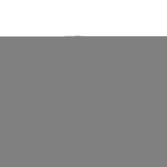 Заглушка PPR Thermo Alliance 25 | Зображення 3