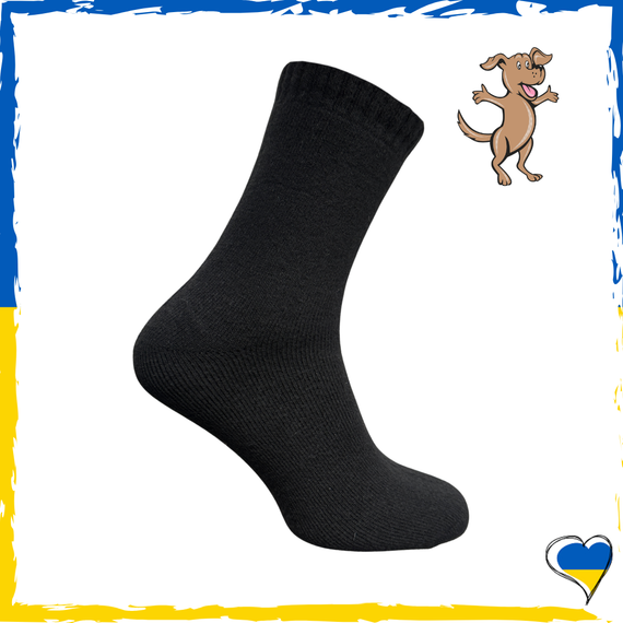 Шкарпетки чоловічі термо із собачої шерсті з антибактеріальними властивостями 41-47р