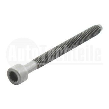 Болт крепления форсунки VW Caddy 1.9/2.0 TDI/SDI 04-10 / T5 1.9/2.5 TDI 03-09 / (M6x1x64), AutoTechteile, 310 3016, DRM0609