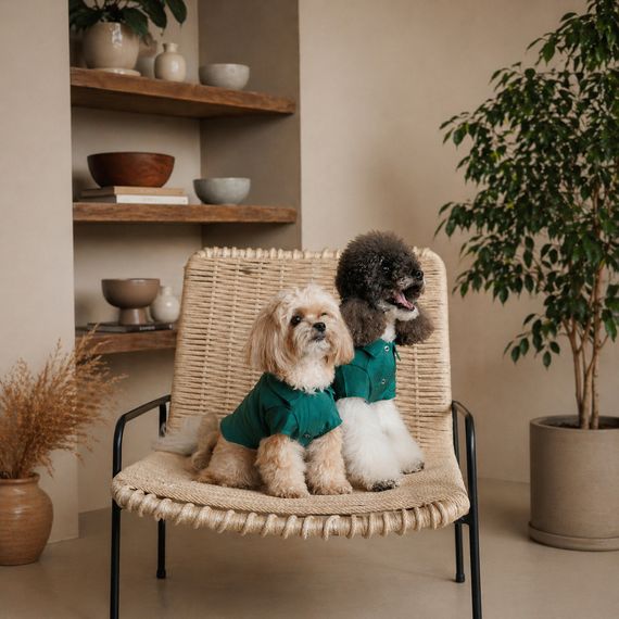 Сорочка Pet Fashion Seaman для собак XХS | Зображення 3