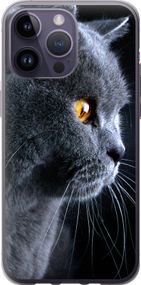 Чехол на iPhone 14 Pro Max Красивый кот "3038u-2667-17620"