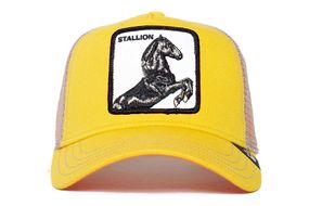 Кепка Goorin Bros - The Stallion (BK79101-0393-YEL)