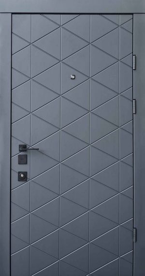 Входные двери Qdoors Авангард Бакарди