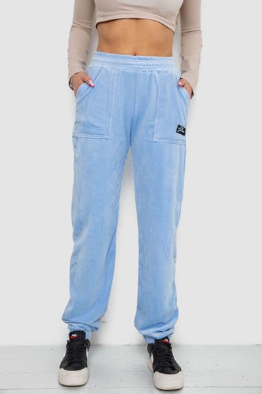 Штани жіночі велюрові, колір блакитний, 238R58473