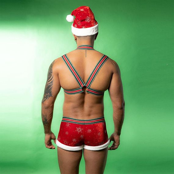 Новорічний чоловічий еротичний костюм JSY 9133 One Size sexstyle | Зображення 4