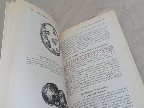 О. И. ЕЛИСЕЕВА ЧЕРВИ-ПАРАЗИТЫ -ПРИЧИНА НЕРАСПОЗНАННЫХ ДИАГНОЗОВ 2005 RUS | Зображення 3